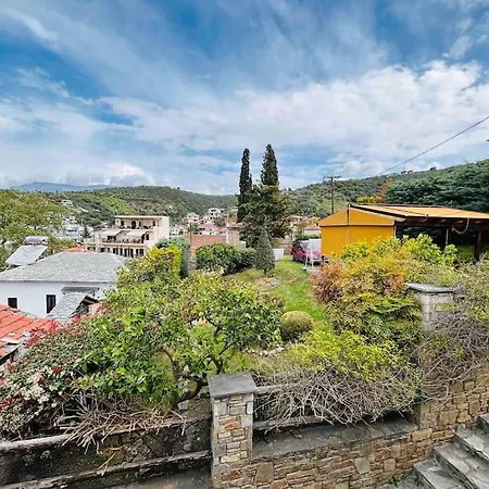 Little Graceland Villa