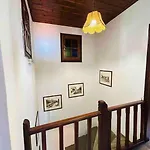 Vilă Little Graceland