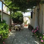 Vilă Little Graceland