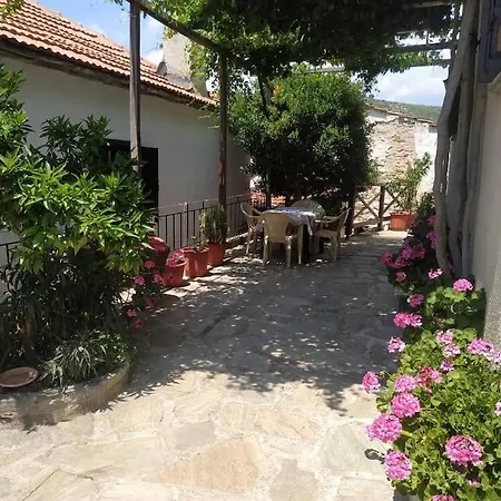 Little Graceland * Afissos