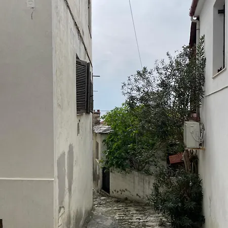 Vilă Little Graceland