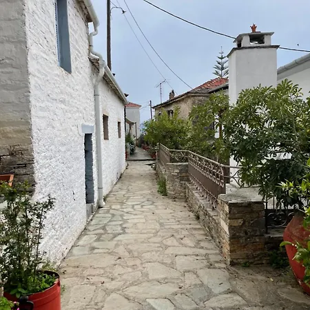Vilă Little Graceland