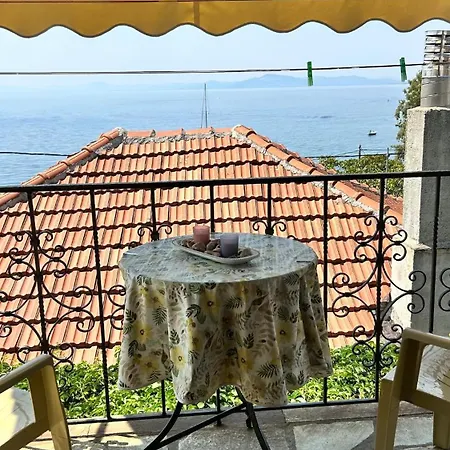 Vilă Little Graceland *